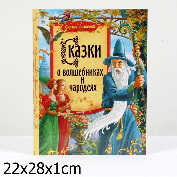 Волшебница с книгой. Книги для детей про волшебниц. Маленькая волшебница книга. Маленькая волшебница книга. Книга про волшебницу.